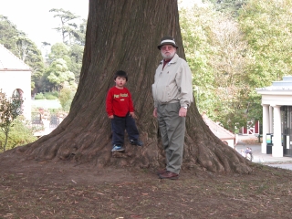 Big Tree, Little Boy